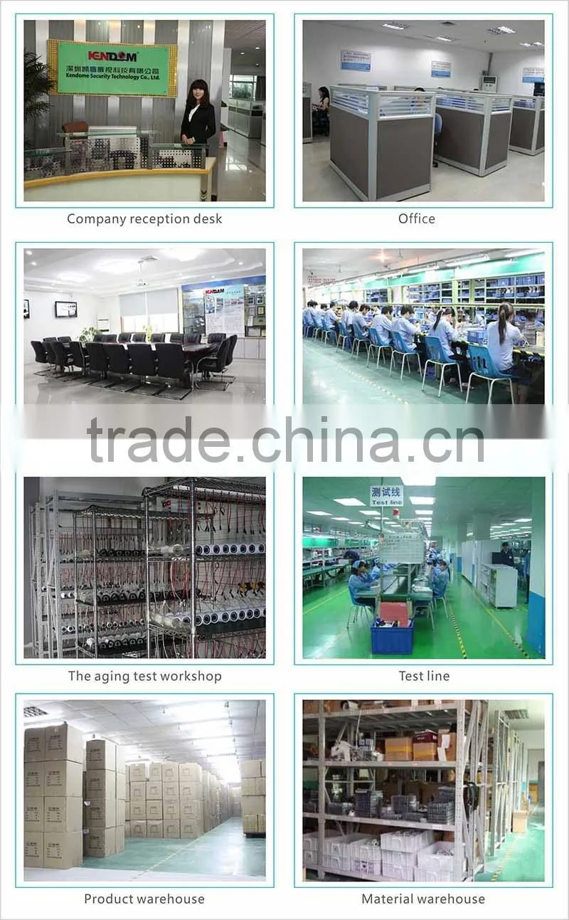 24pcs IR leds dome camera 1.0Megapixel ir camera accept paypal CCTV camera