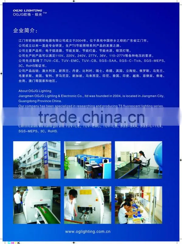 standard electronic hid ballast for t5 t8 single twin lamp lighting ballast
