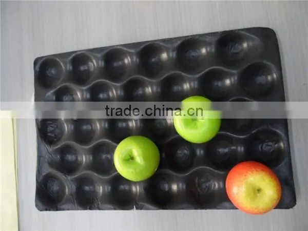 PS Plastic Fruit Tray