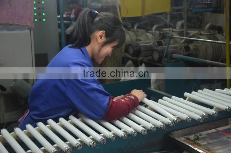 T5 Fluorescent lamp tube T514W G5 6500K lamp tube