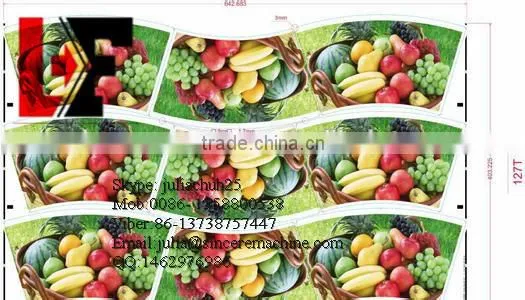 Stocklot 170-350 Gsm PE Coated Paper Glass Fan