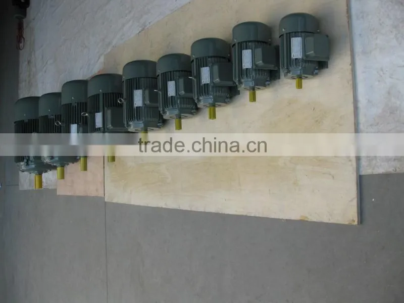 Y series three phase motor group