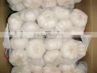 chinese new garlice price