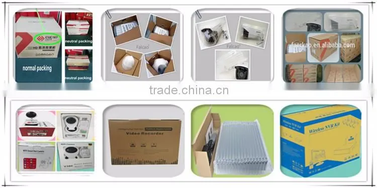 960P Indoor Dome P2P Remote Network IP CCTV Camera