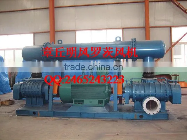 High Pressure Roots Blower