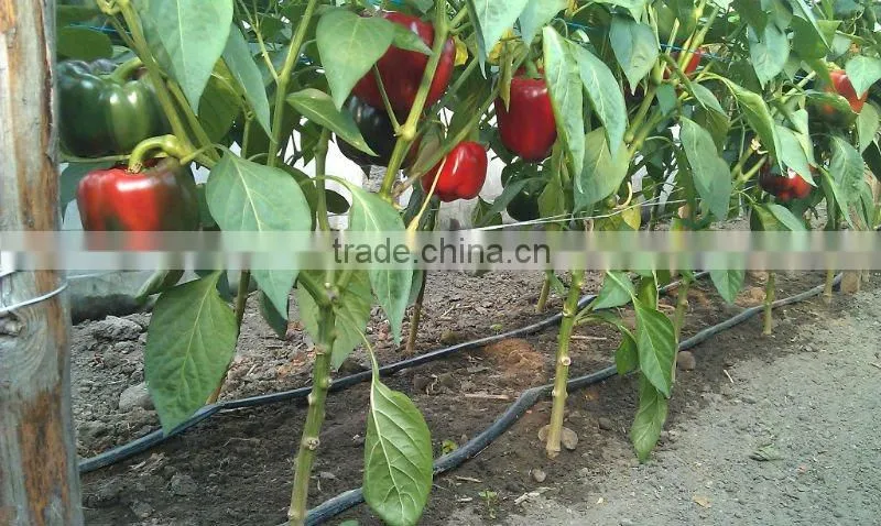 single labyrinth type agriculture drip irrigation hose