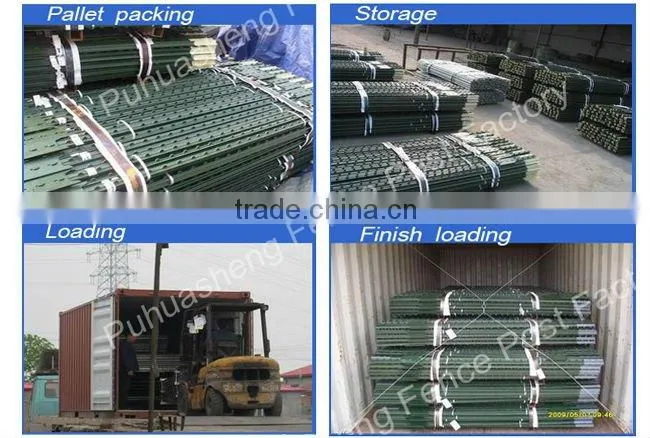 Barbed Wire Posts with Green painted (factory & trader)