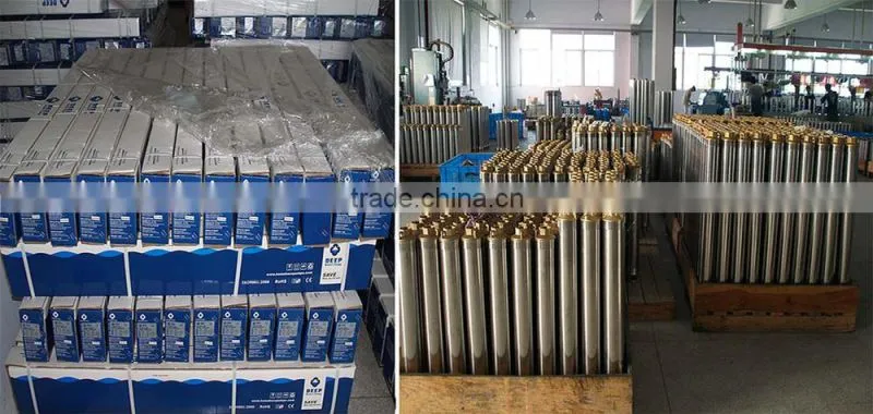 6SP 30 electric submersible fountain pump