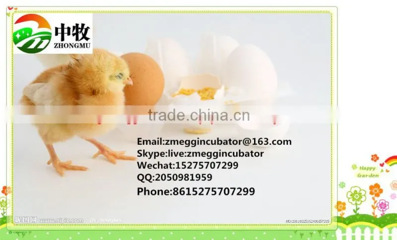 hot sell duck egg incubator ZM-7056 digital temperature controller10000 chiken egg incubator