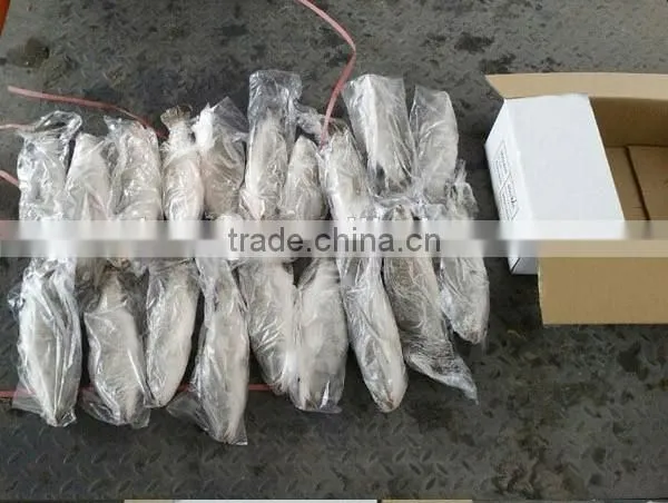 Frozen Seabass/chilean Seabass Fish Fillet