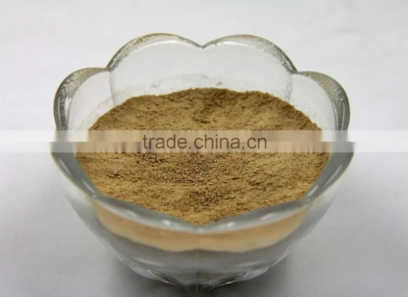 High quality champignon Shiitake Mushroom Extract powder
