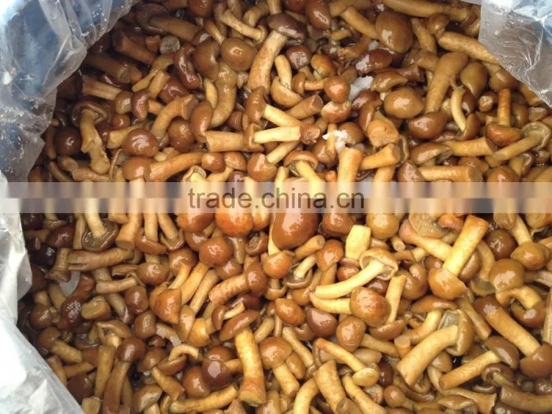 Suillus granulatus mushrooms in brine