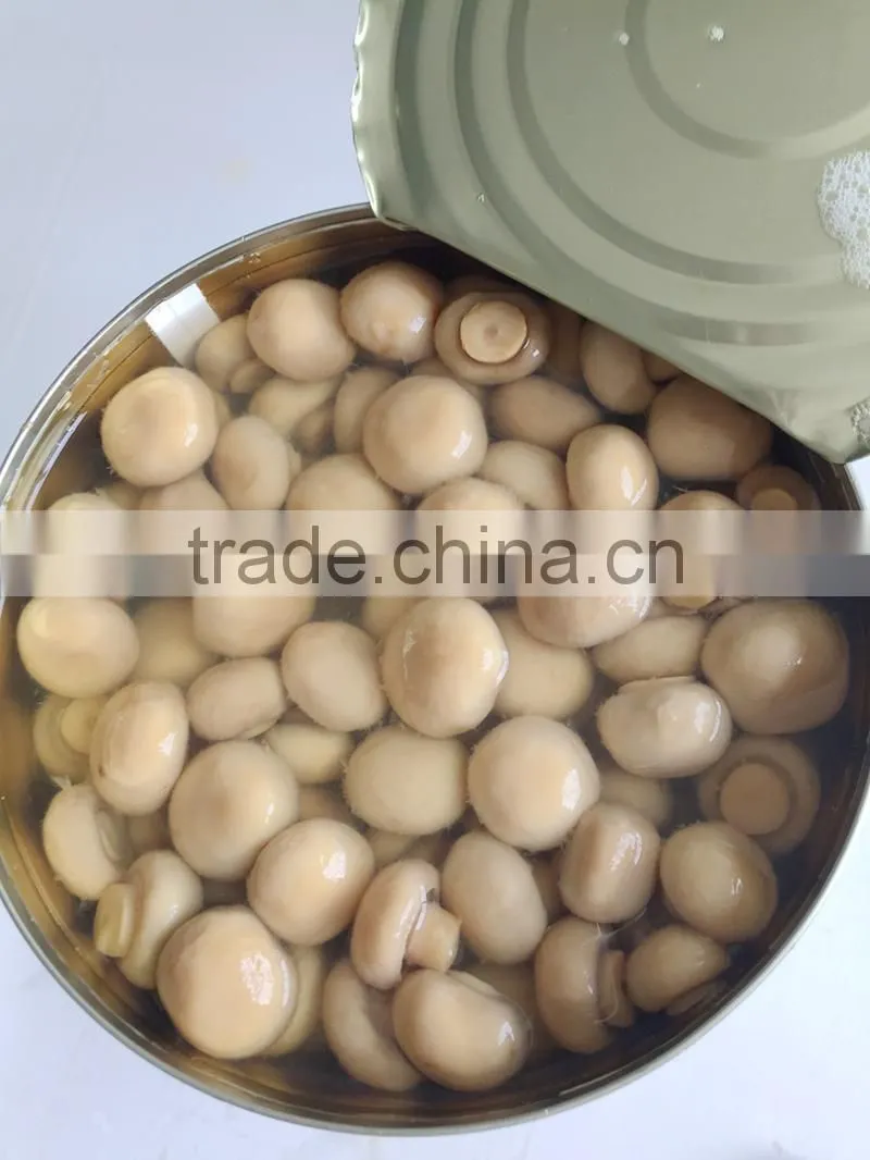 Canned White Mushroom whole
