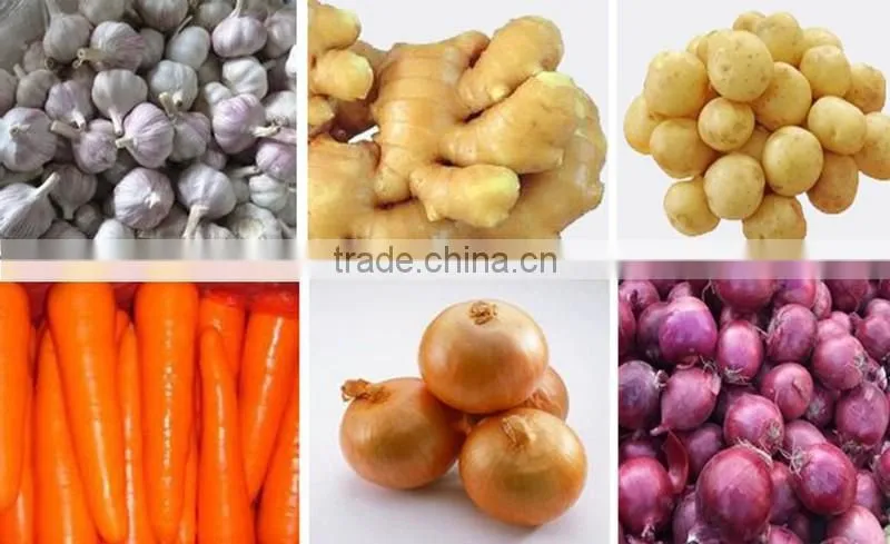 Low Price Buy Chinese Garlic