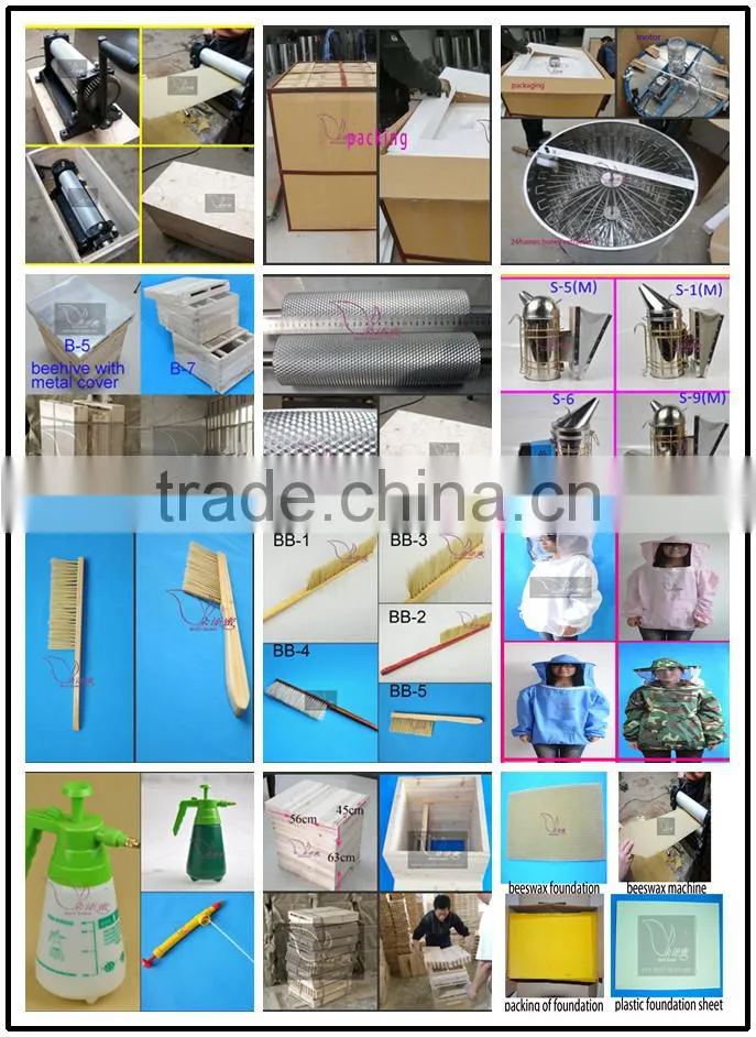 plastic honey bear bottle for sale
