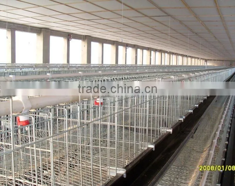 poultry farm layer cage(3 tiers)