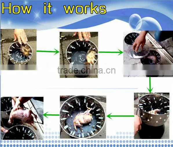 Portable 100% unharing rate Automatic small quail plucking machine or mini plucker machine