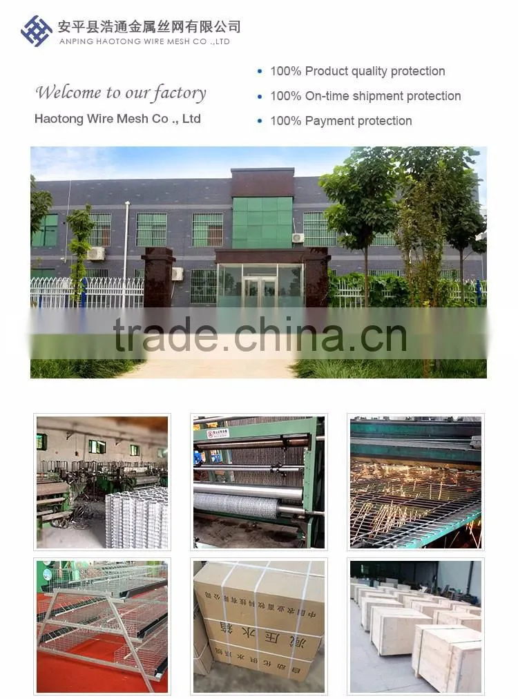 30 Years' factory supply automatic chicken nest