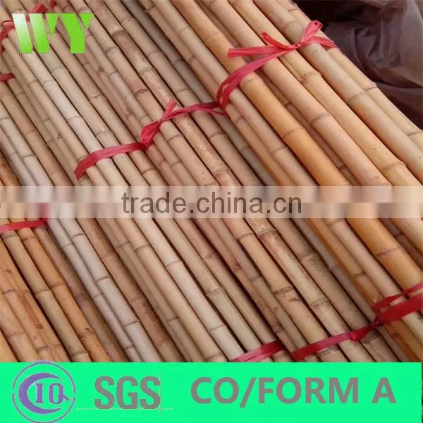 WY-221High quality bamboo poles bamboo canes bamboo stakes in raw materials for agriculture