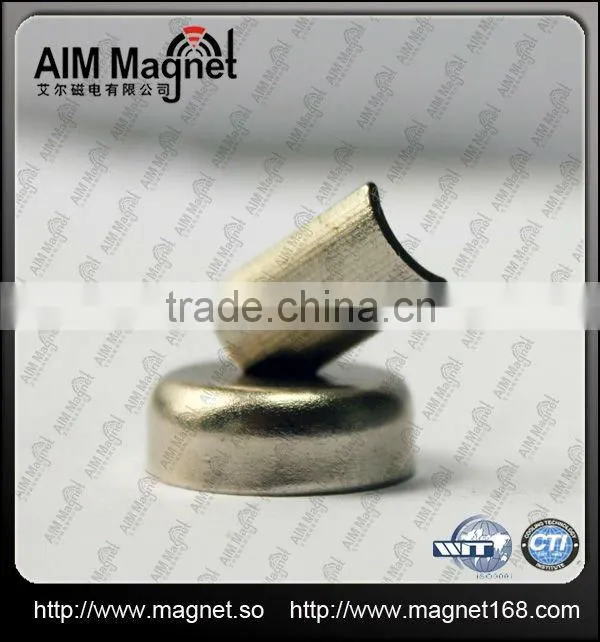 Micro-motor ndfeb magnet Tile