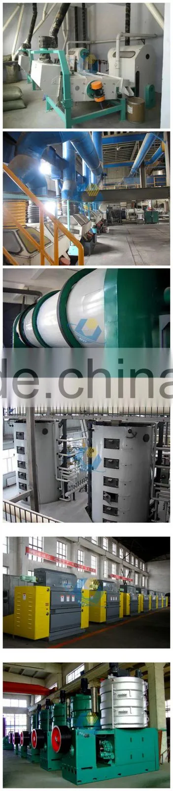 sunflower oil squeeze machinery