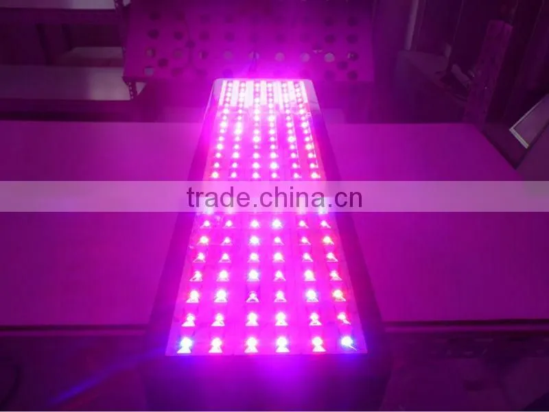 Full spectrum medical plant grow light 144x3W led grow lighting