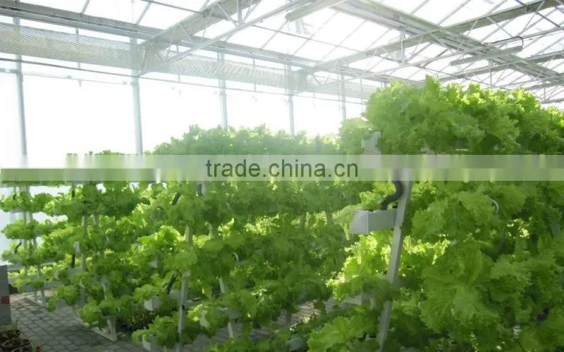 Flower Planting Hydroponic system/Hydroponic garden