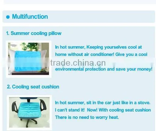 newest and eco-friendly ice pad , ice cushion for computer for pet