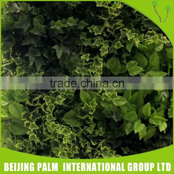 Best Prices Artificia Living Plant Wall