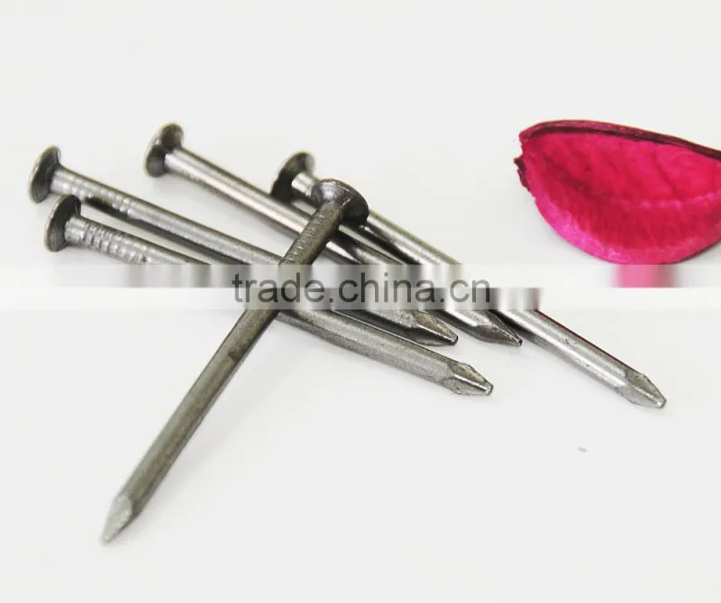 Construction and Building Common round iron nail