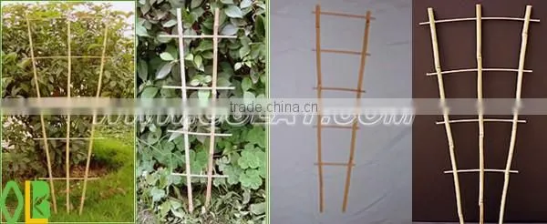Bamboo garden trellis