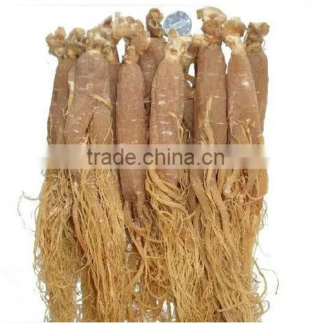 100% Organic Korean Gensing
