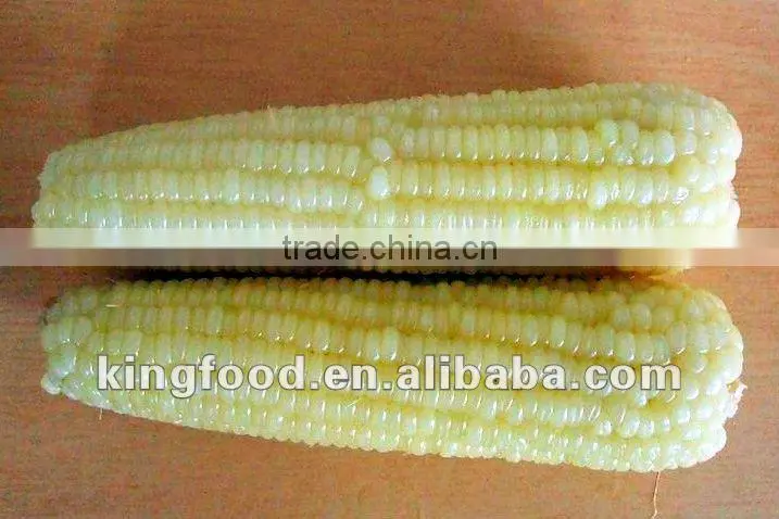 New crop frozen sweet corn