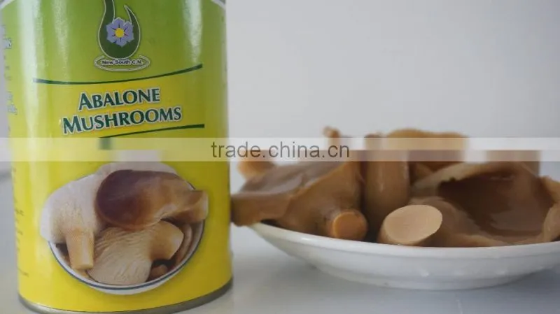 Canned abalone mushrooms slice for America