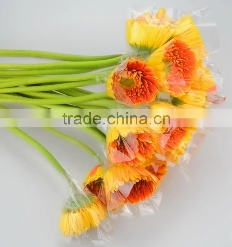 Newest Golden Sun cute gerbera flower