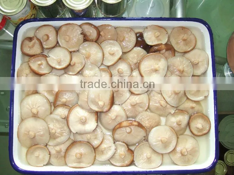 champignon PNS