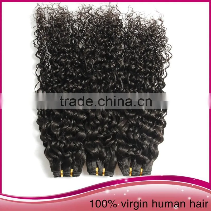 Aliexpress2015 Wholesale price Kinky Curly Brazilian Virgin Hair Weaving
