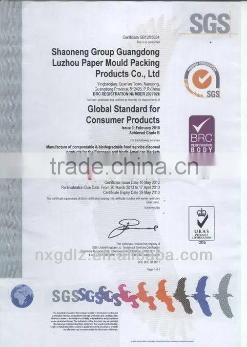 disposable customized paper tableware