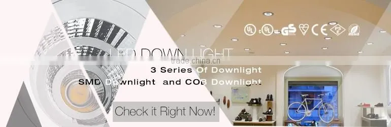25W Input Voltage 85V-265V led downlight 8 Inch downlight 25W Cool White 3000K-6500K Aluminum Alloy Lamp Body Quality Down Light