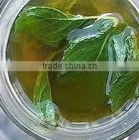 Mint Oil