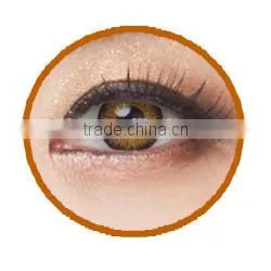 2015 NEW arrival seeshell contact lens korea lenses