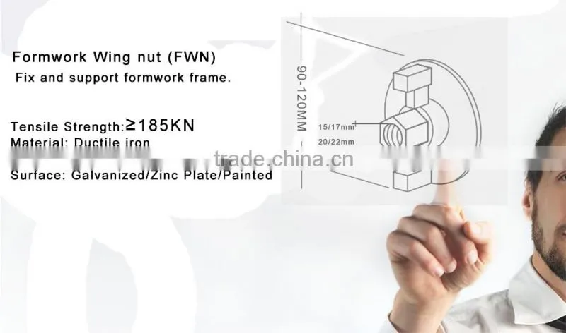 Ductile Iron Galvanized Formwork Wing Nut D12/D15/D20 For Construction