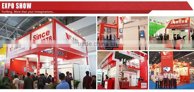 YFDF-76800 high quality automatic wholesale egg hatching machine for sale