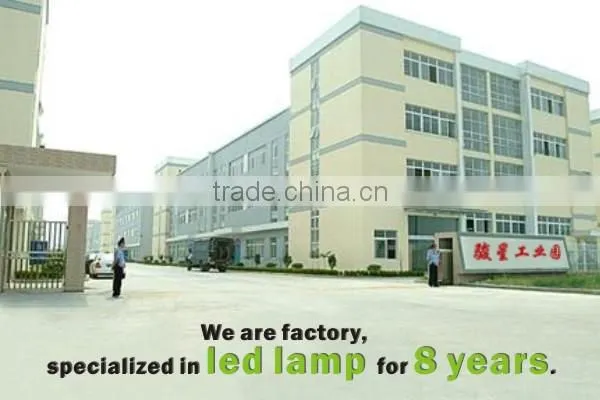 Hot sale animal shaped lamp