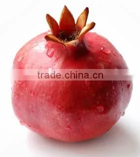 Fresh Pomegranate Sweet and Red Fruits