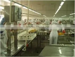 Silvcorp (Qingdao) Co., Ltd. company overview - view 3