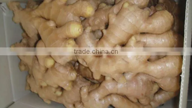 Fresh dry ginger