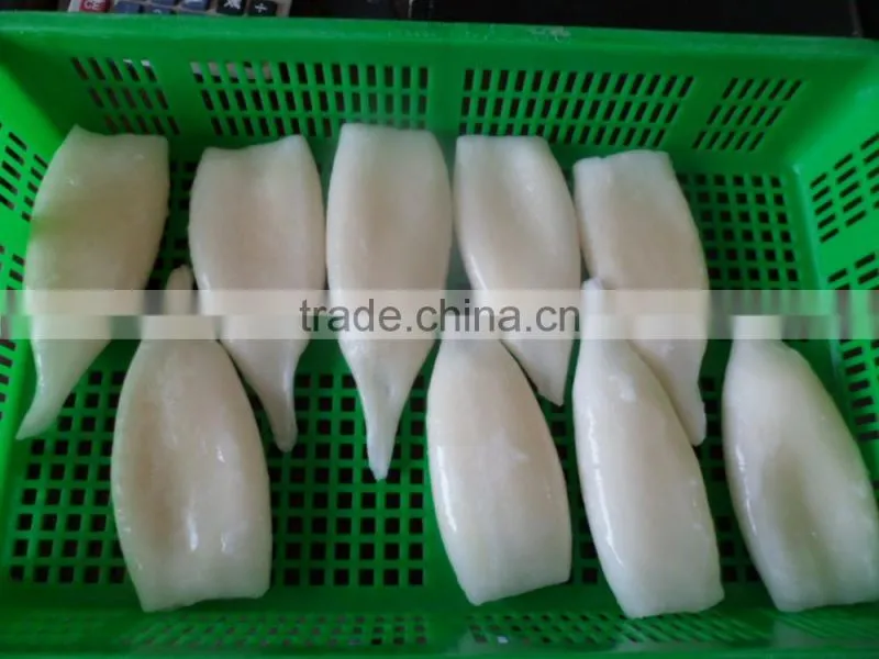 Frozen squid tube fish U5