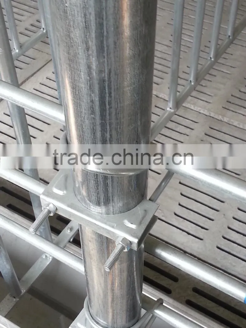 Piggery Gestation pens/farrowing crates/nursery pens|automatic pig farming equipment