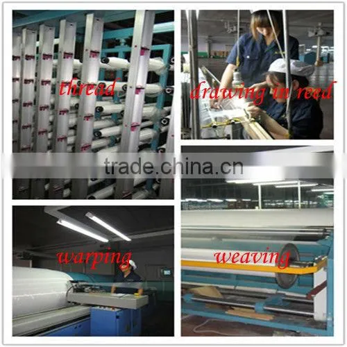 monofilament 8~165t mesh polyester printing mesh fabric